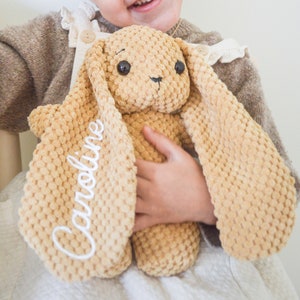 Personalized Bunny Rabbit Plush Flower Girl Proposal Gifts for Kids Easter Gift Idea Birthday Gift Stuffed Animal (EB3478P) Bunny Rabbit