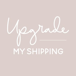 UPS NEXT DAY Air - Shipping Upgrade