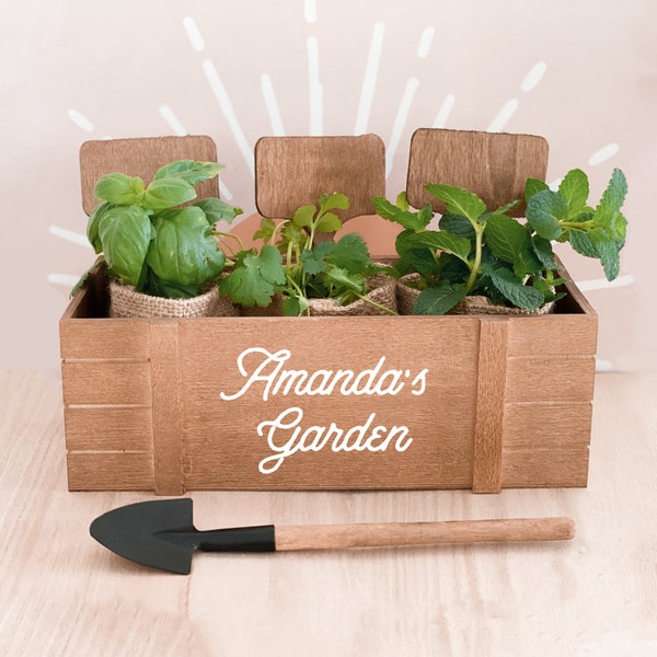 Herb Garden Kit Etsy