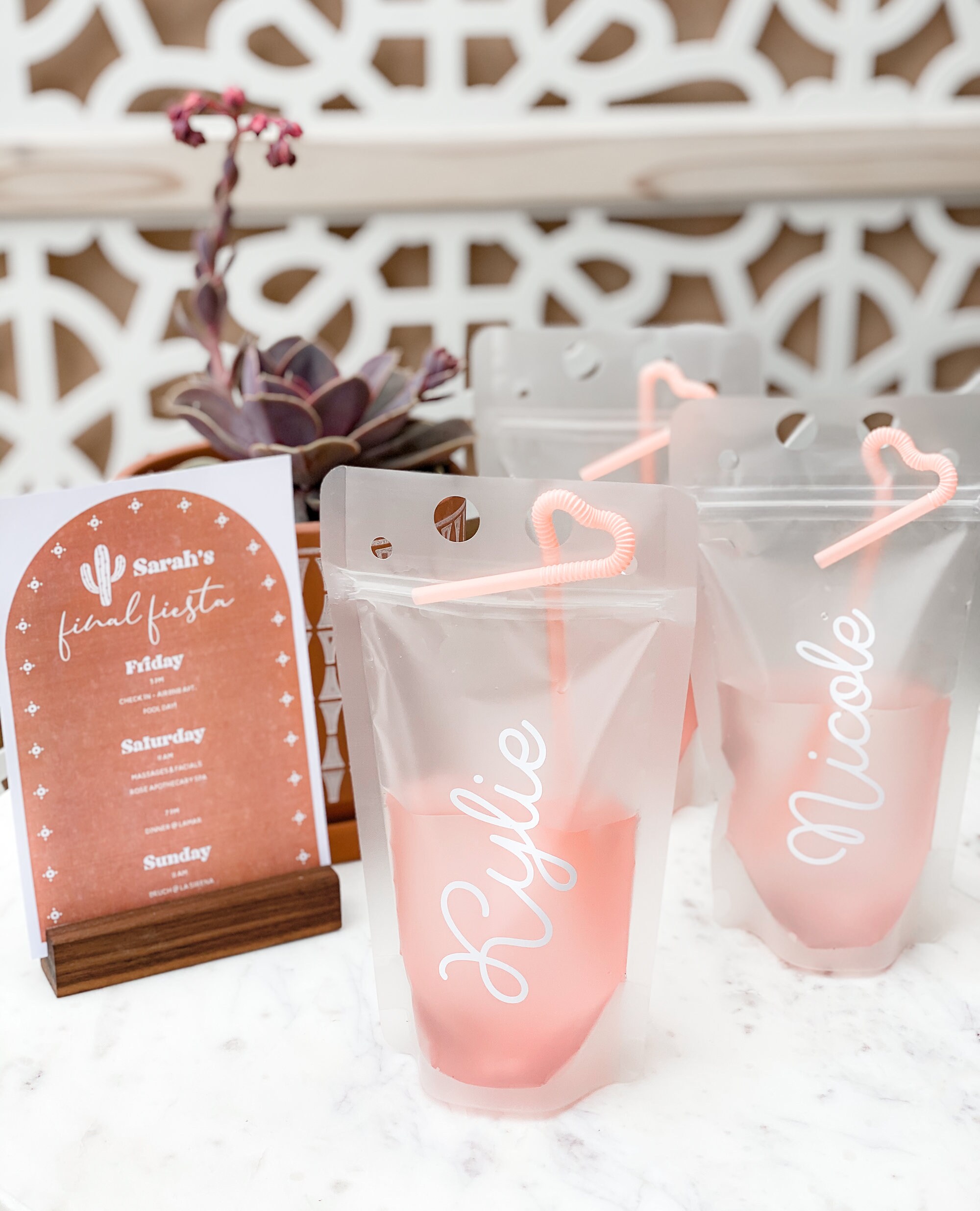 Bachelorette Party Favors Bridesmaid Drink Pouches Etsy UK