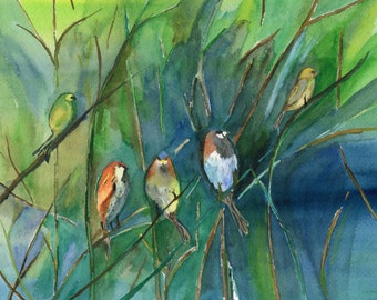 Birds of Paradise   Art Print from Original Watercolor  Birds,  wall art, home decor, three birds, aviary, colorful birds, song birds