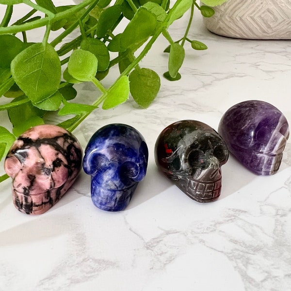 Crystal Mini Skull, Skull Carving, Gothic Home Decor, Halloween Home, Rocks and Minerals, Rhodonite, Sodalite, Bloodstone, Amethyst Crystals