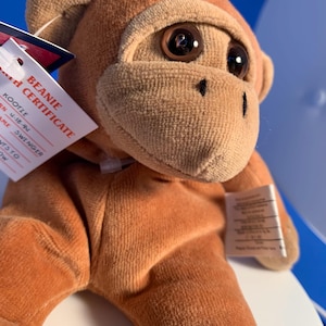 Bonnet en peluche singe, nom du certificat de naissance KOOKIE né en 1994, livraison rare incluse