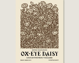May include: A vintage botanical illustration of an Ox-Eye Daisy, also known as Leucanthemum vulgare. The print is part of a series called "British Wildflowers" by Flight & Fancy.