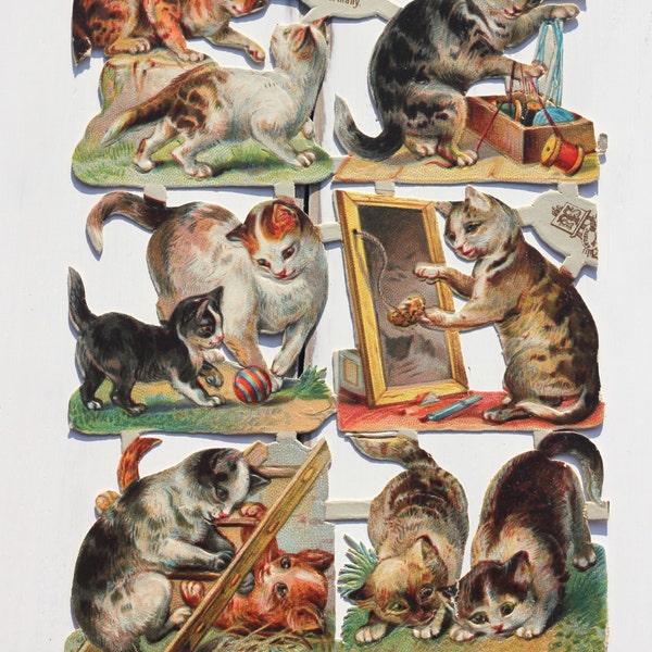 Katzen und Kätzchen, Victorian, sterben schneiden Scraps, c1880s, Raphael Tuck, Jahrgang illust, Ephemera, Sammelalbum-Versorgung
