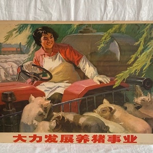 Rare Vintage  Oriental Advertisement - CHINESE ART PRINT Tractor Pig Poster