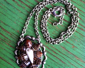 Framed Eulimid Shell and Periwinkle Burst Necklace w/Green Glass Bead Accents On Plates Metal Chain W/ Claw Clasp Handmade