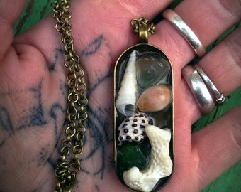 Beach Bum Cameo with Cowry and Drupe Shells, Coral, Sea Glass