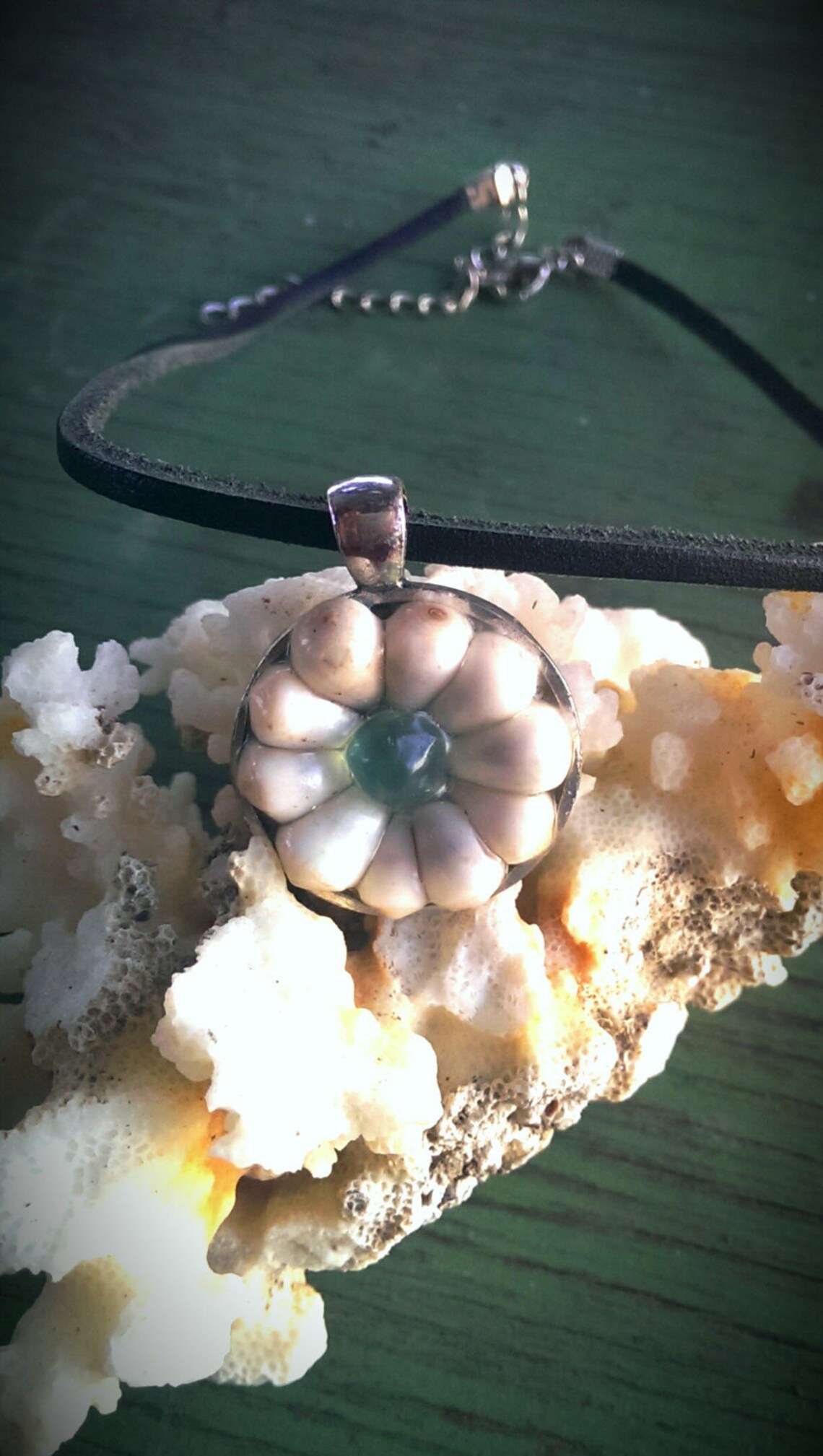 Cute Framed Flower Made From Killer Cone Dwarf Shells and a Genuine ...