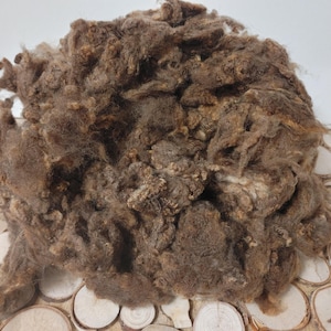 Peut inclure: Un gros tas de laine de mouton brune. La laine est douce et moelleuse, et elle est parfaite pour le filage ou le feutrage.
