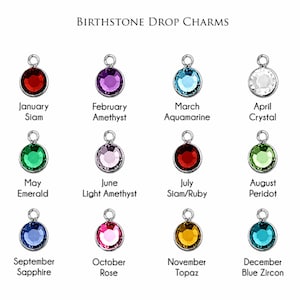 May include: A collection of twelve circular birthstone drop charms arranged in a grid, each featuring a faceted gemstone set in a silver-toned metal frame with a jump ring. Text labels identify each month and stone color: January Siam, February Amethyst, March Aquamarine, April Crystal, May Emerald, June Light Amethyst, July Siam/Ruby, August Peridot, September Sapphire, October Rose, November Topaz, and December Blue Zircon.