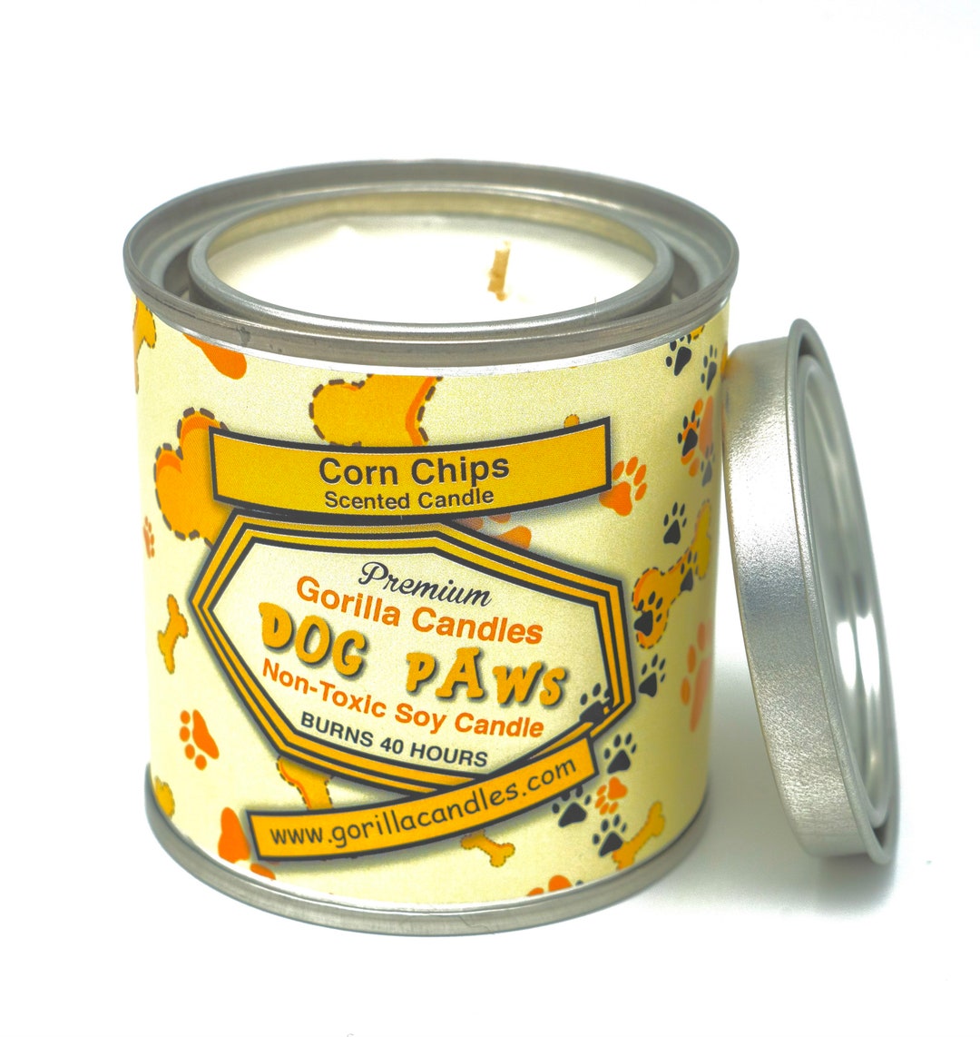 Dog paws 2024 smell like fritos
