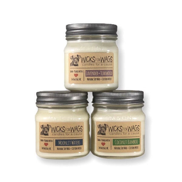 Discounted 3-Pack - Pick any 3 scents! - 8oz Mason Jar  - Scented Natural Soy Candle - Donation to Animal Rescue Group Included