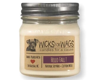 Hello Fall! Soy Candle - Handmade 8oz Mason Jar - Scented Natural Soy Candle - Vegan ~ Donation to Animal Rescue Group Included