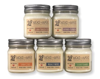 Discounted 5 pack - Pick any 5 scents! Soy candles ~ 8oz Mason Jar - Donation to Animal Rescue Group Included