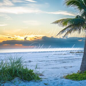 Florida Gulf Coast / Beach / Sunset Photo