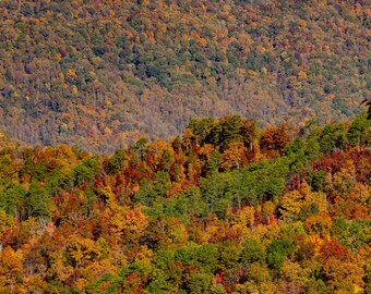 May include: A panoramic view of a mountain range with a mix of green, yellow, and orange trees. The trees in the foreground are a vibrant mix of fall colors, while the trees in the background are a more muted green. The sky is a clear blue.