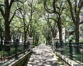 Waterfront Park / Charleston / South Carolina