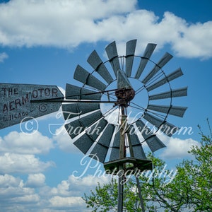 Puede incluir: Un molino de viento de metal envejecido con un diseño de aspas circular, sobre un cielo azul brillante salpicado de nubes blancas y esponjosas. El letrero del molino dice "THE AERMOTOR CHICAGO". El follaje verde enmarca la parte inferior derecha.