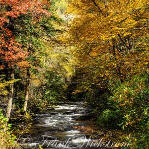 Fotografía de arroyos en las Montañas Humeantes, follaje otoñal (descarga digital)