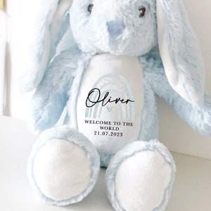 Personalised Bunny Rabbit, New Baby Gift, Baby Shower Gift, Welcome to the World Rainbow, Your Name Teddy, Cuddly Toy, Girls and Boys Teddy