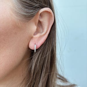 Örhängen med mikropavering i 14 karat vitt guld