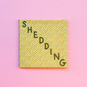 Shedding *DIGITAL* Zine