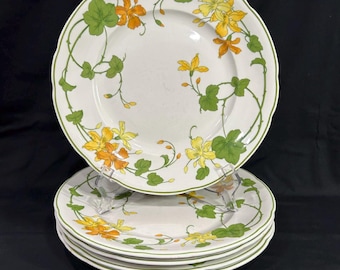 Vintage Villeroy & Boch 