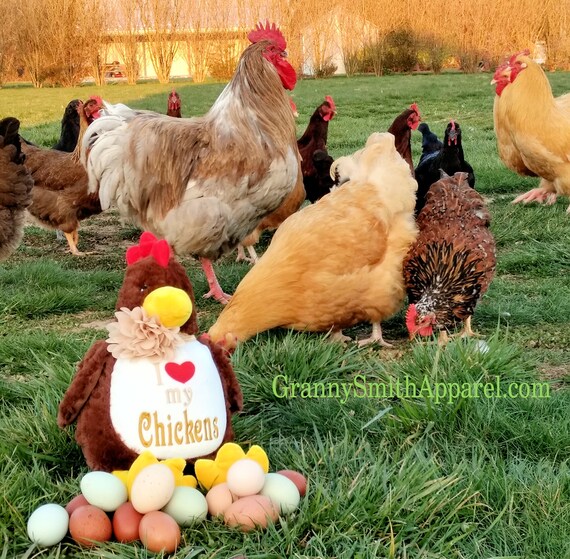 chicken stuffie