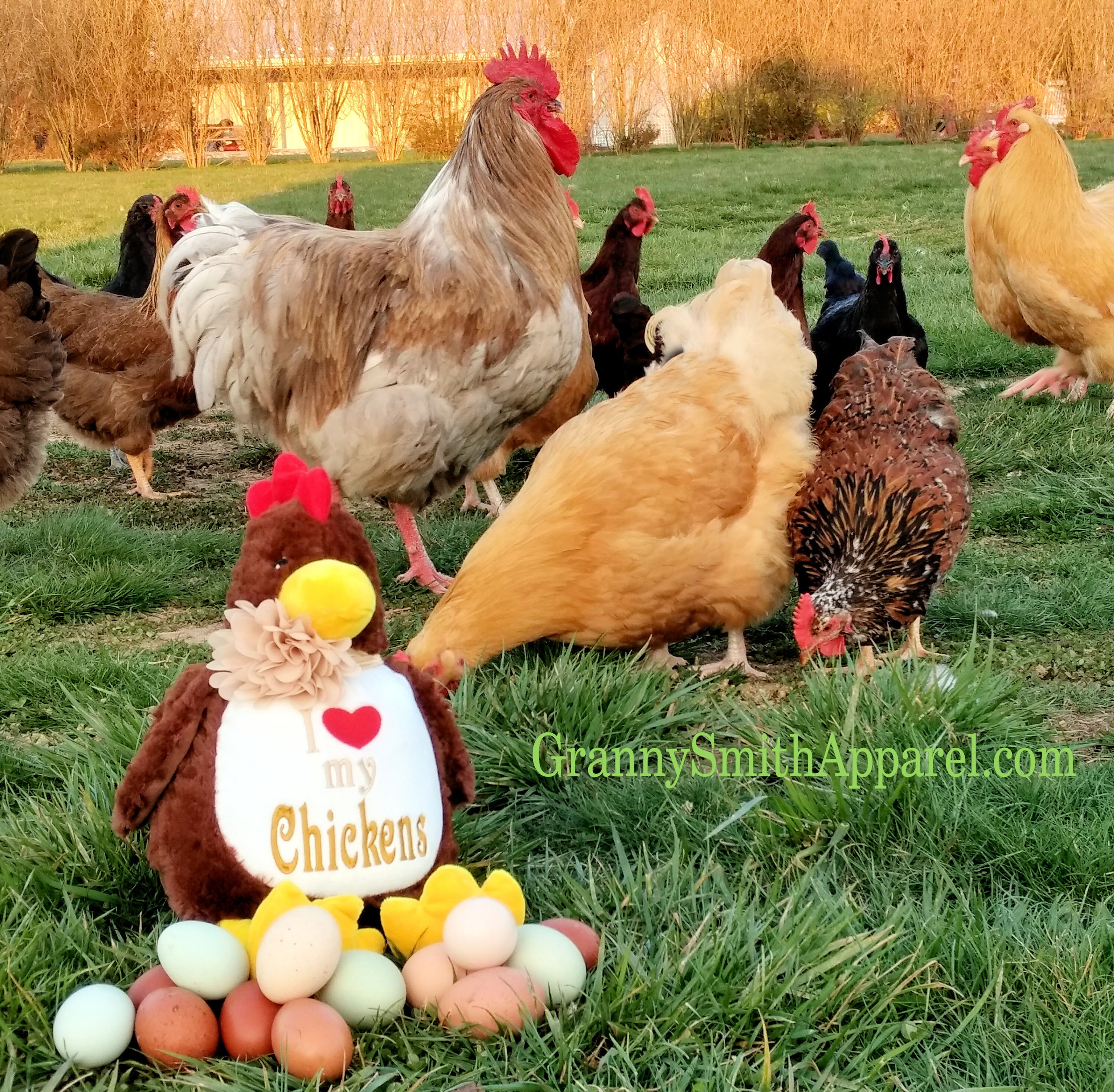 chicken stuffie