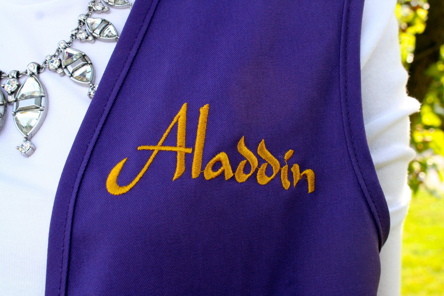 Adult Aladdin Halloween costume! Embroidered Purple vest (8 sizes small