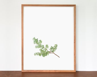 May include: A framed print of a single sprig of green foliage against a white background.