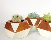 Geometric Wooden Pot — Pale Green
