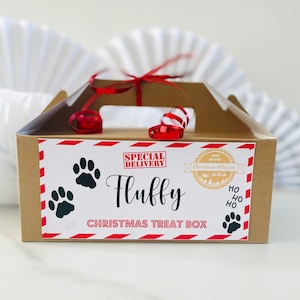 May include: A brown cardboard box with a red ribbon and a white label. The label has a red and white striped border and says "SPECIAL DELIVERY Fluffy CHRISTMAS TREAT BOX" with paw prints and the text "Santa's Post Office Christmas delivery" in a gold circle.