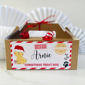 May include: A brown cardboard box with a red and white striped design. The box has a label that says "Special Delivery" and "Christmas Treat Box". The label also has a picture of a cat wearing a Santa hat and holding a candy cane. The name "Arnie" is written on the box.