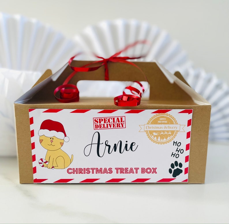 May include: A brown cardboard box with a red and white striped design. The box has a label that says "Special Delivery" and "Christmas Treat Box". The label also has a picture of a cat wearing a Santa hat and holding a candy cane. The name "Arnie" is written on the box.