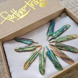 Wholesale Jewelry Making Pendants, 10 pcs Feather Necklace, size ULTRA MINI, Hand Carved Abalone, Abalone Flight Feather, Paua, Boho Jewelry