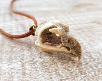 Owl Skull Replica Pendant Necklace, Hand Carved Naturally Shed Antler with Brass Bale, Bird Skull Jewelry, Fantasy Necklace, Skull Earrings