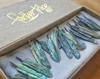 Wholesale 20 pcs Feather Necklace, size SUPER MINI, Hand Carved Abalone, Paua Shell Feather, Feather Necklace, Boho Jewelry Making Supplies