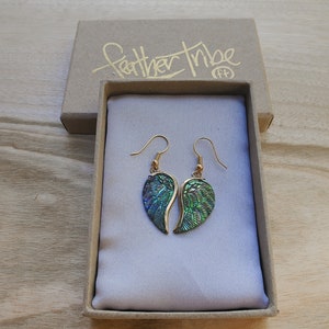Puede incluir: Un par de pendientes de oro con alas iridiscentes verdes y azules. Los pendientes est&aacute;n en una peque&ntilde;a caja con las palabras "Feather Tribe" escritas en ella.