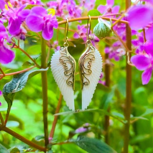 K&ouml;nnte beinhalten: Ein Paar goldene Ohrringe mit wei&szlig;en Muschelfluegeln. Die Ohrringe h&auml;ngen an einem Zweig mit rosa Blumen.
