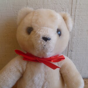 dakin bear 1986