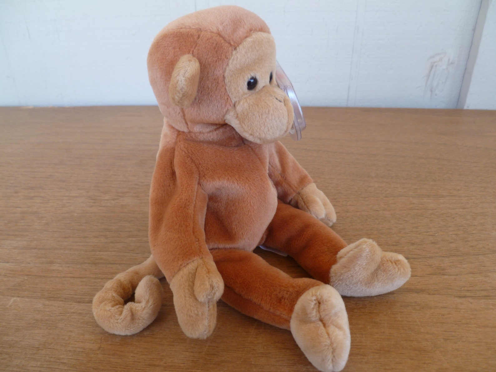beanie baby monkey bongo beanie baby monkey bongo