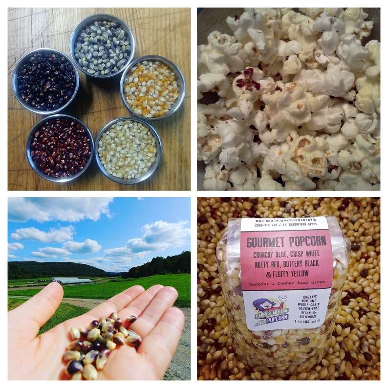 gourmet popcorn kernel