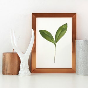 Leaf Wall Art | Instant Download | Mid Century Modern Wall Art | Plant Wall Art | Printable Wall Art | Minimalist Wall Art | Nature Art