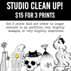 Mystery Art Print Pack - Studio cleanup print pack of 3 8.5x11 art prints that are out of portfolio, slightly damaged or slightly misprinted
