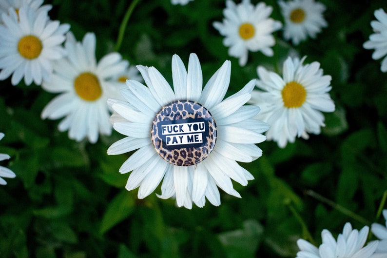 May include: A round button with a leopard print background and the text "FUCK YOU PAY ME" in white, centered on a white daisy. The daisy is surrounded by other daisies and green foliage.