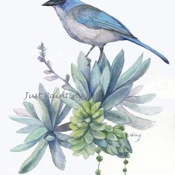 20% off Elegant Blue,Succulent and Bird California Scrub Jay- Art Print 8.5 x11(letter size)