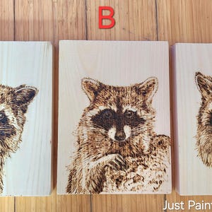 May include: Three wooden plaques with pyrography raccoon art. One raccoon peeks from behind a tree, another is centered, and the third peers over a bucket. The art is in shades of brown.