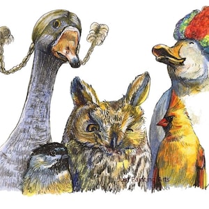 May include: A whimsical illustration of four birds with unique personalities. A goose with a braided hat, an owl with a winking eye, a duck with a colorful rainbow wig, and a cardinal with a bright red crest. The illustration is drawn in a colorful style with a whimsical touch.